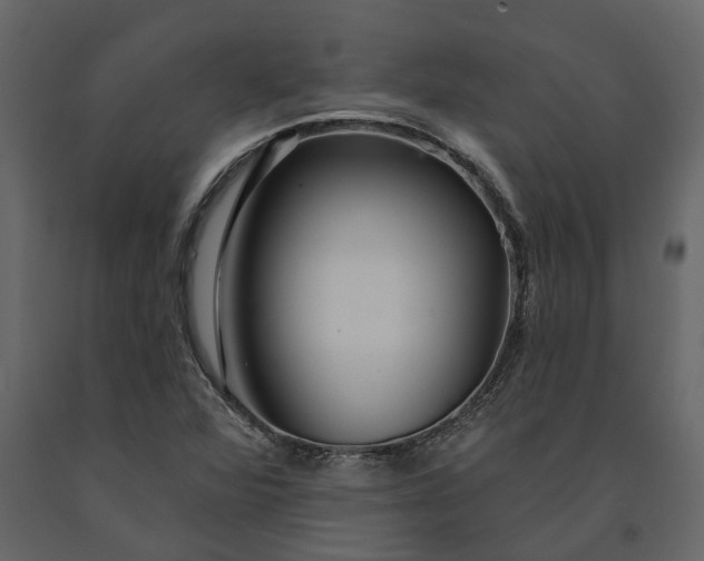 X0000091091360200708271247