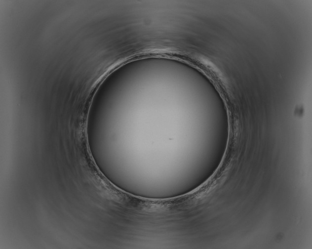 X0000091091361200708271247