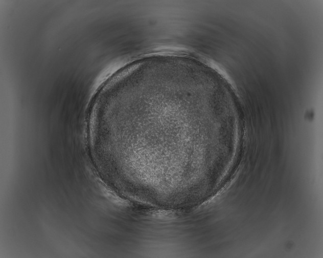 X0000091091362200708271247