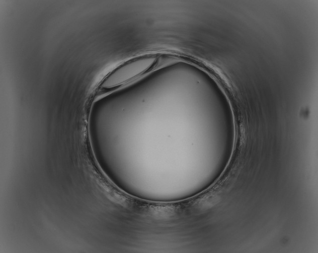 X0000091091363200708271247