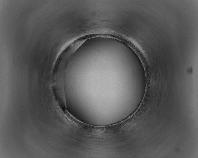 X0000091091364200708271247