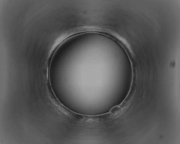 X0000091091365200708271247