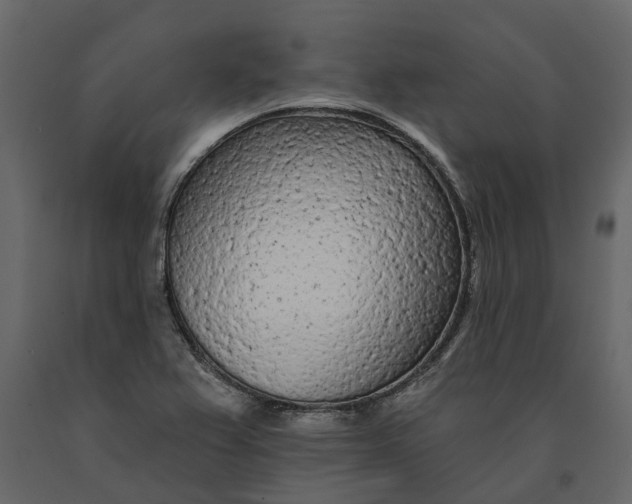 X0000091091367200708271247