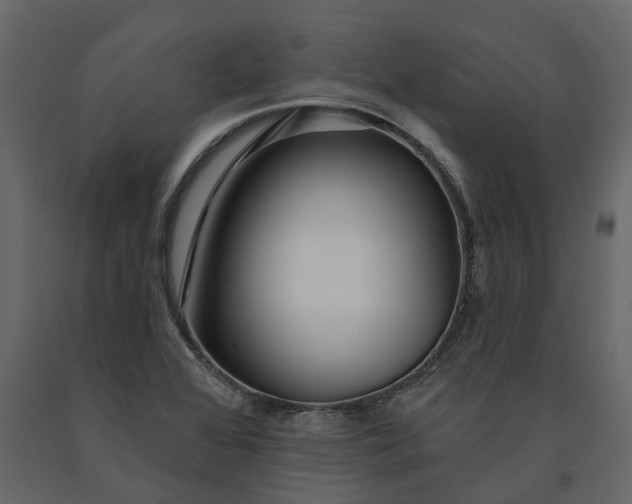 X0000091091368200708271247