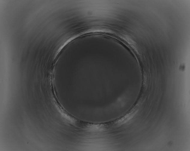 X0000091091369200708271247