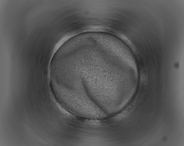 X0000091091370200708271247