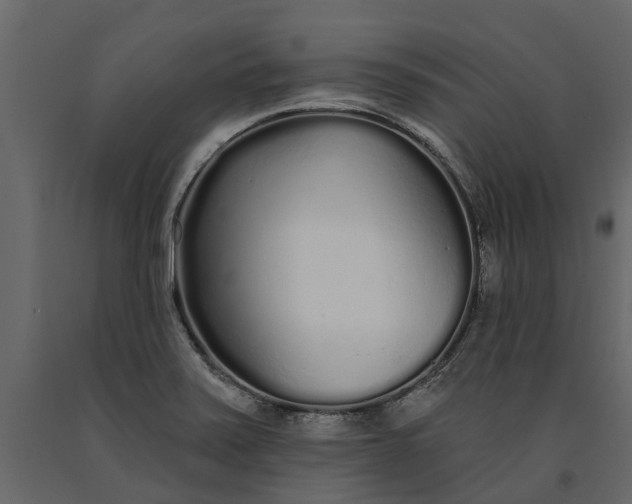 X0000091091371200708271247