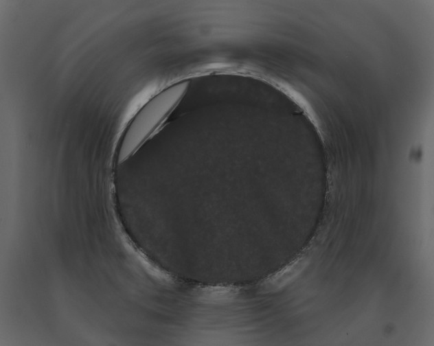 X0000091091373200708271247