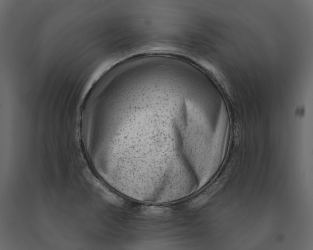 X0000091091374200708271247