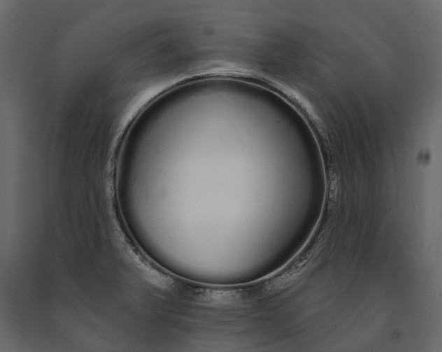 X0000091091375200708271247