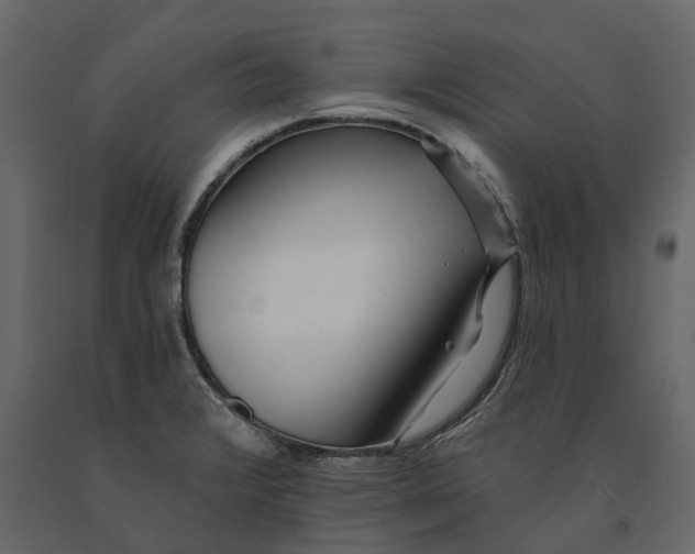 X0000091091376200708271247