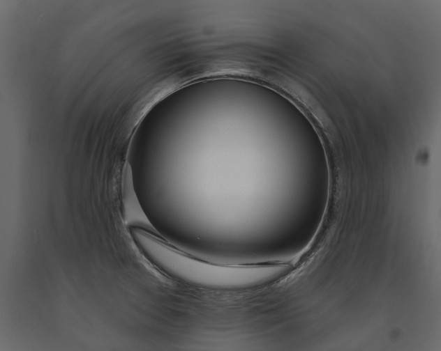 X0000091091377200708271247