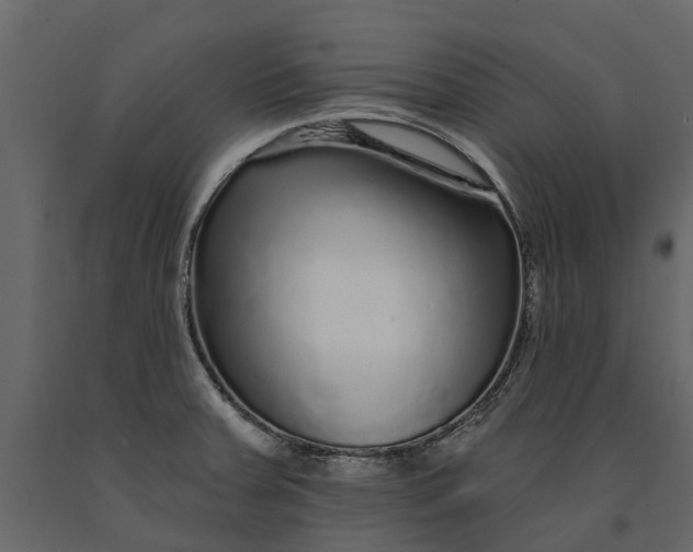 X0000091091379200708271247