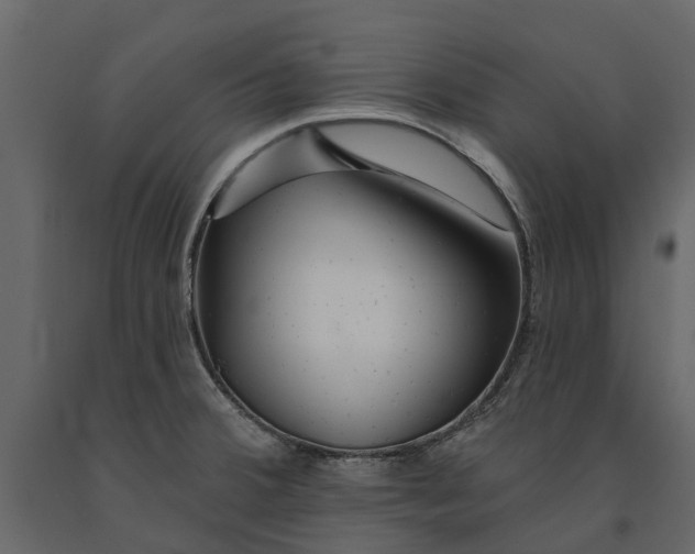 X0000091091380200708271247