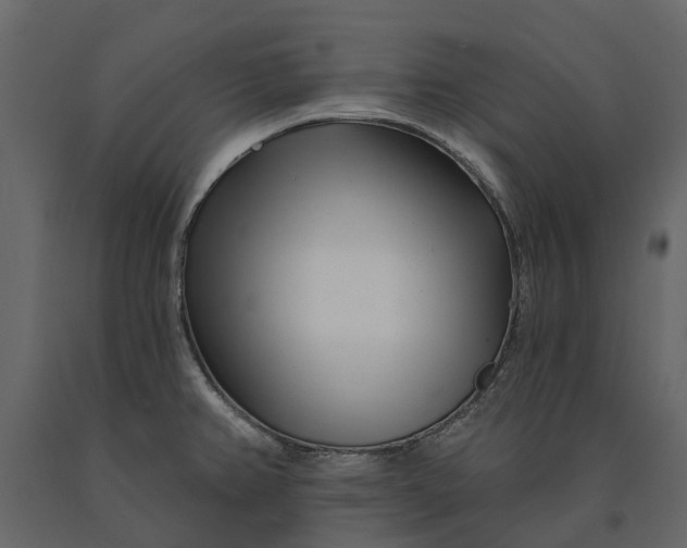 X0000091091382200708271247