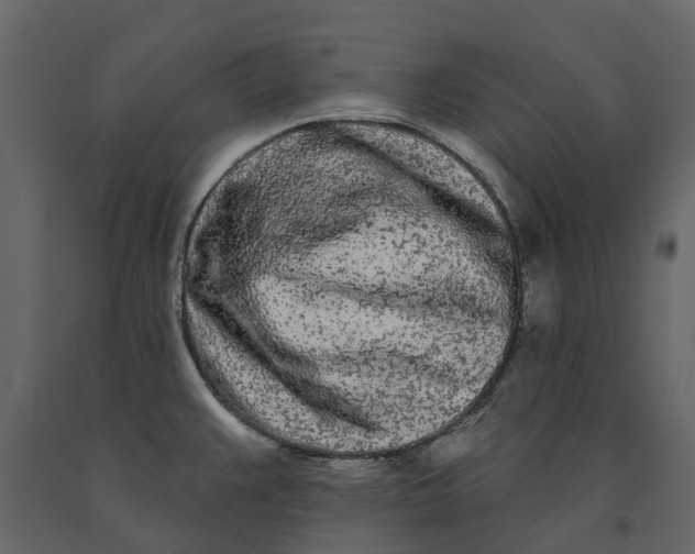 X0000091091383200708271247