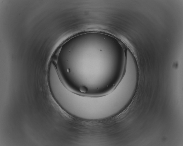 X0000091091384200708271247