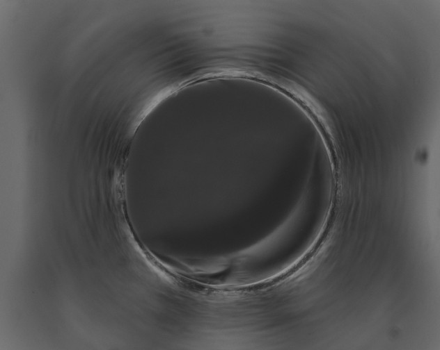 X0000091091385200708271247