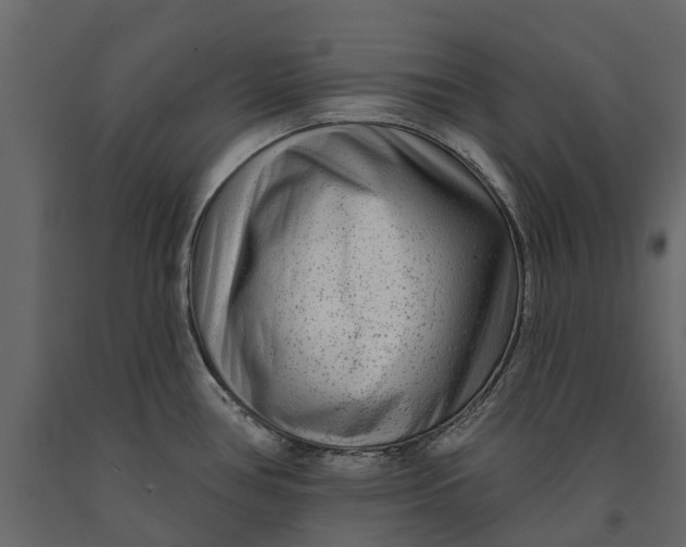 X0000091091386200708271247