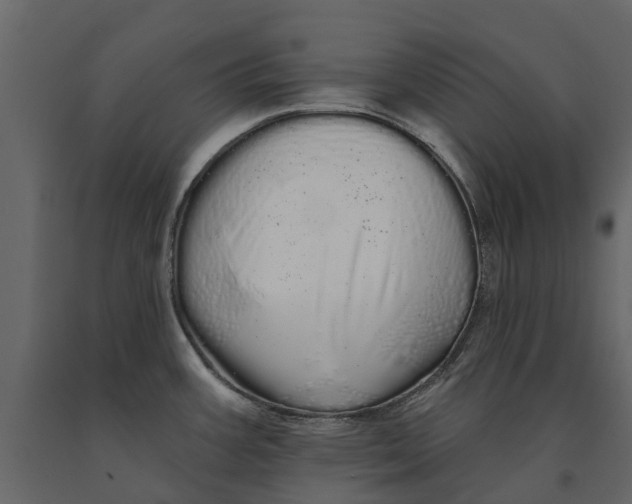 X0000091091387200708271247