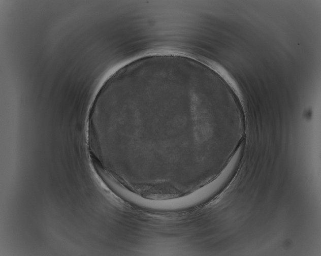 X0000091091388200708271247