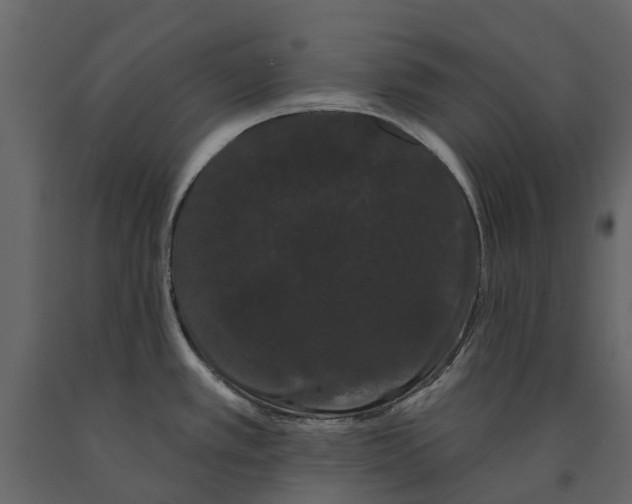 X0000091091389200708271247