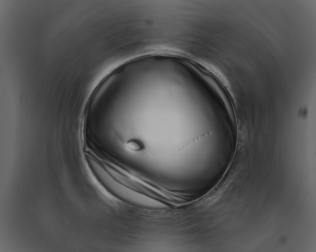 X0000091091391200708271247