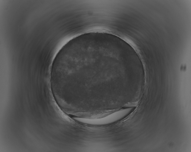 X0000091091392200708271247