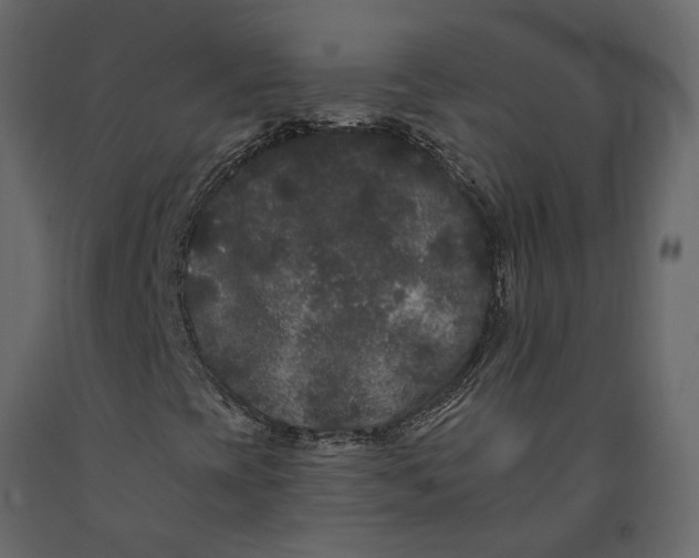 X0000091091393200708271246