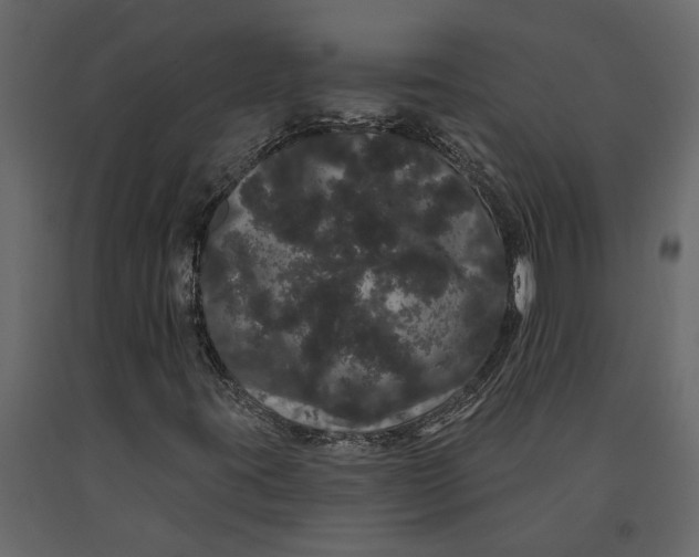 X0000091091395200708271246