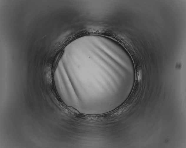 X0000091091396200708271246