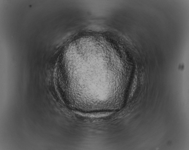 X0000091091397200708271246