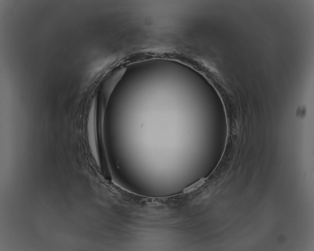 X0000091091398200708271246