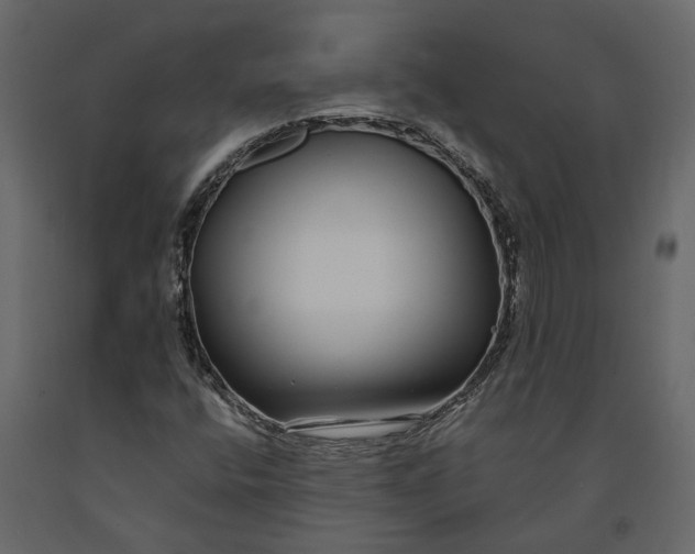 X0000091091400200708271246