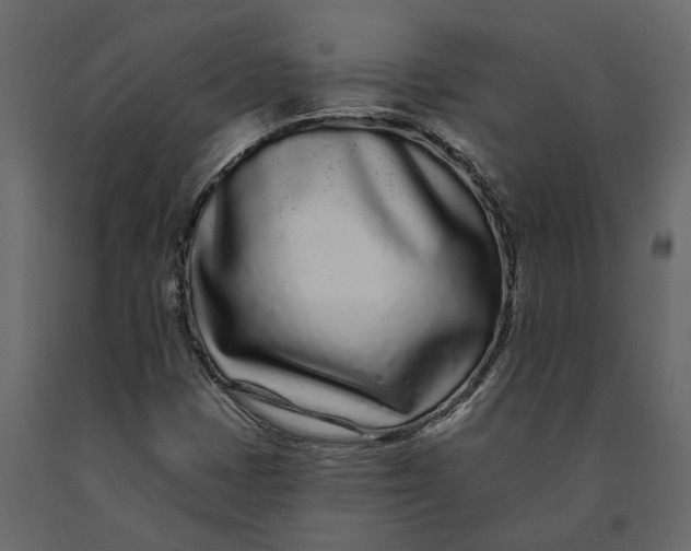 X0000091091401200708271246