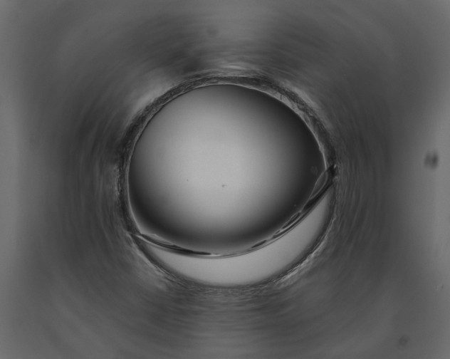 X0000091091402200708271246