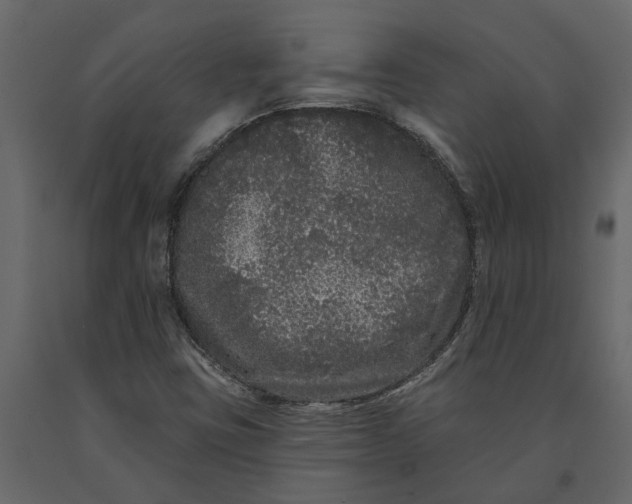 X0000091091403200708271247