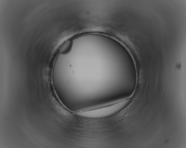 X0000091091404200708271247