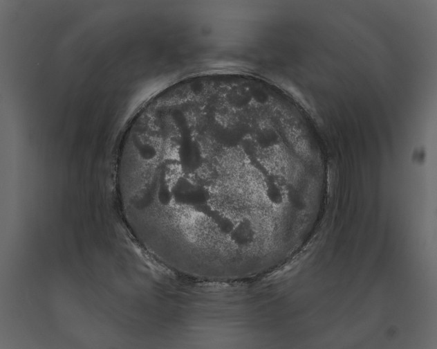 X0000091091405200708271247