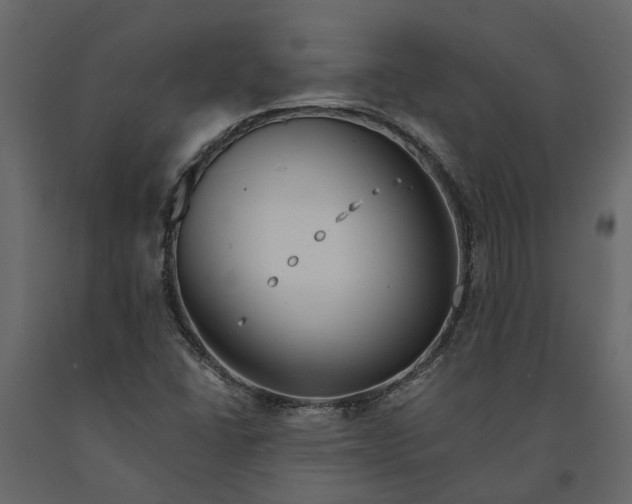 X0000091091406200708271247