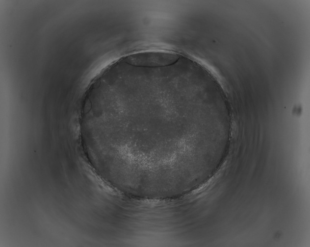 X0000091091407200708271247