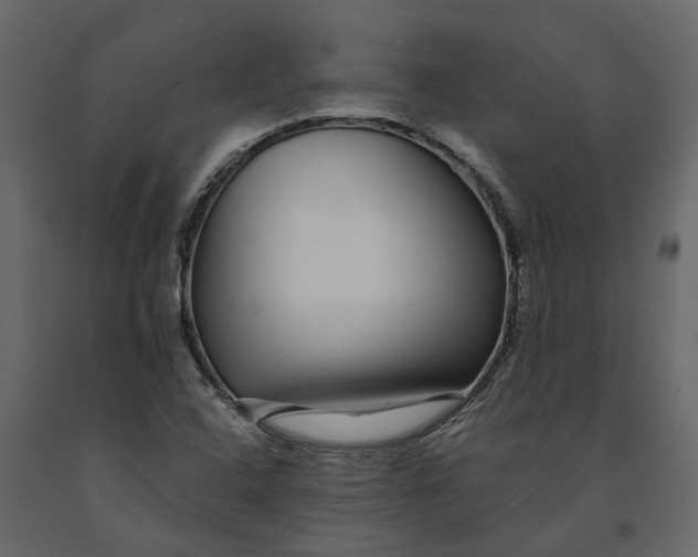 X0000091091408200708271247