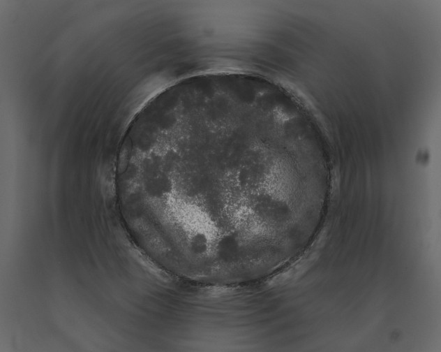 X0000091091409200708271247