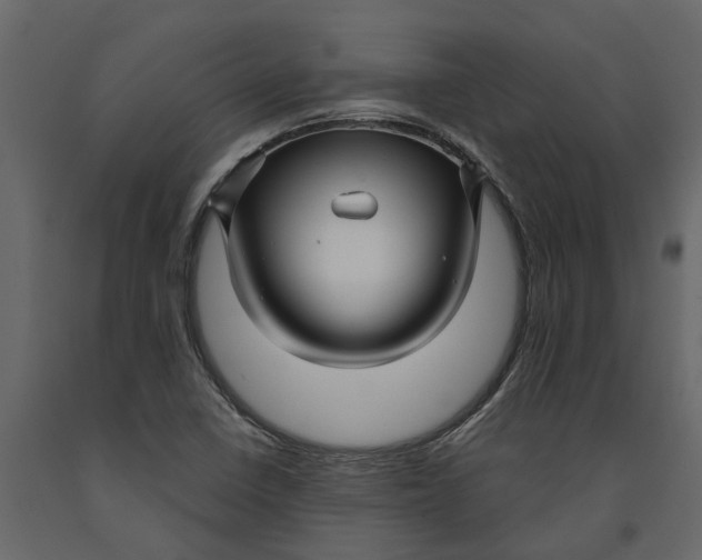 X0000091091410200708271247