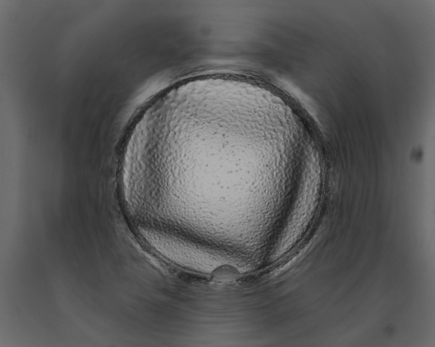 X0000091091411200708271247