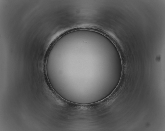 X0000091091412200708271247