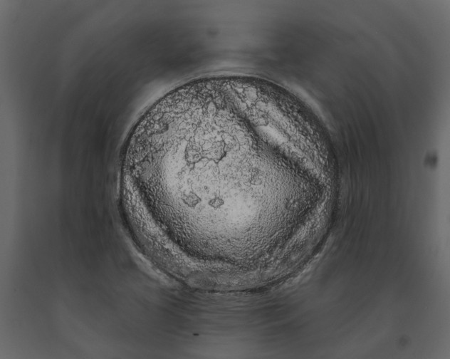 X0000091091413200708271247