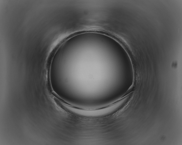 X0000091091414200708271247