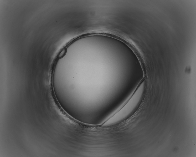 X0000091091416200708271247