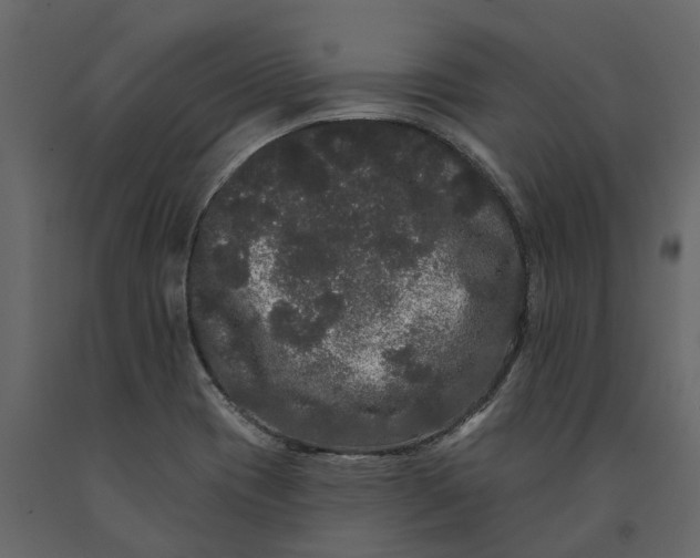 X0000091091417200708271247